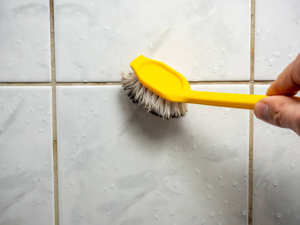 Best Toxic Mold Removal  in Marillo, CA