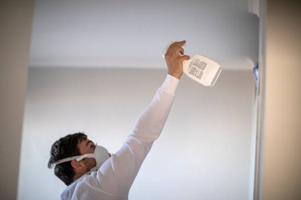 Best Mold Remediation  in Marillo, CA