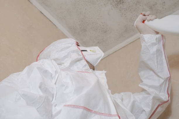Best Certified Mold Removal  in Marillo, CA