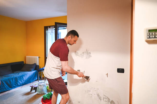 Best Affordable Mold Removal  in Marillo, CA